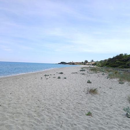 Terres De France - Les Hauts Du Maquis Linguizzetta エクステリア 写真