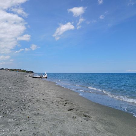 Terres De France - Les Hauts Du Maquis Linguizzetta エクステリア 写真